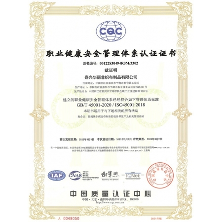 ISO45001